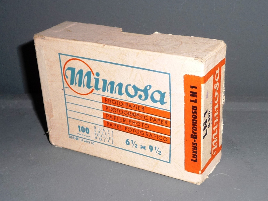 Mimosa LN 1 (6.5x9.5)